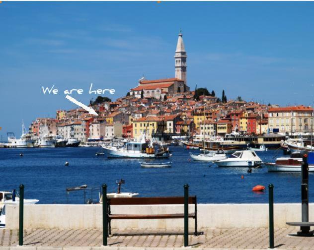 Apartment Santa Croce Free Parking Rovigno Esterno foto